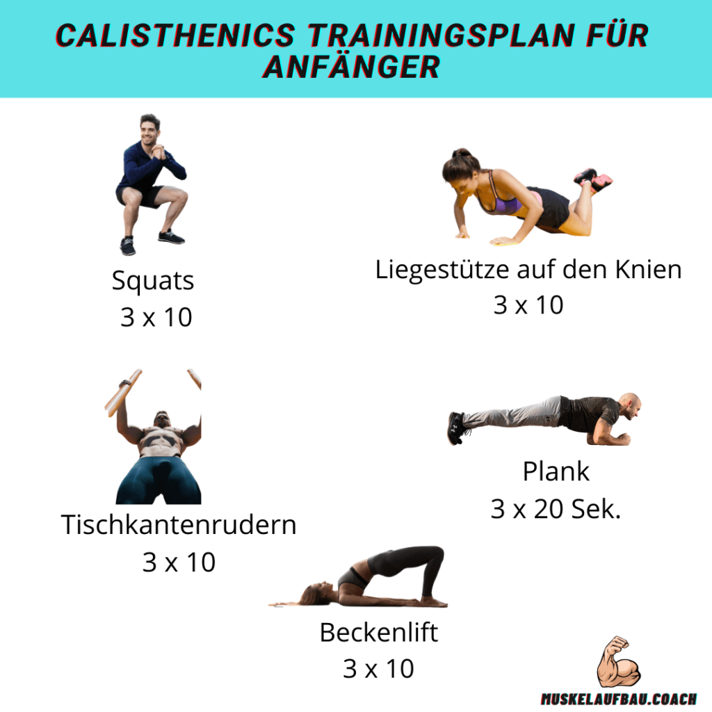 Calisthenics Trainingsplan Muskelaufbau Coach