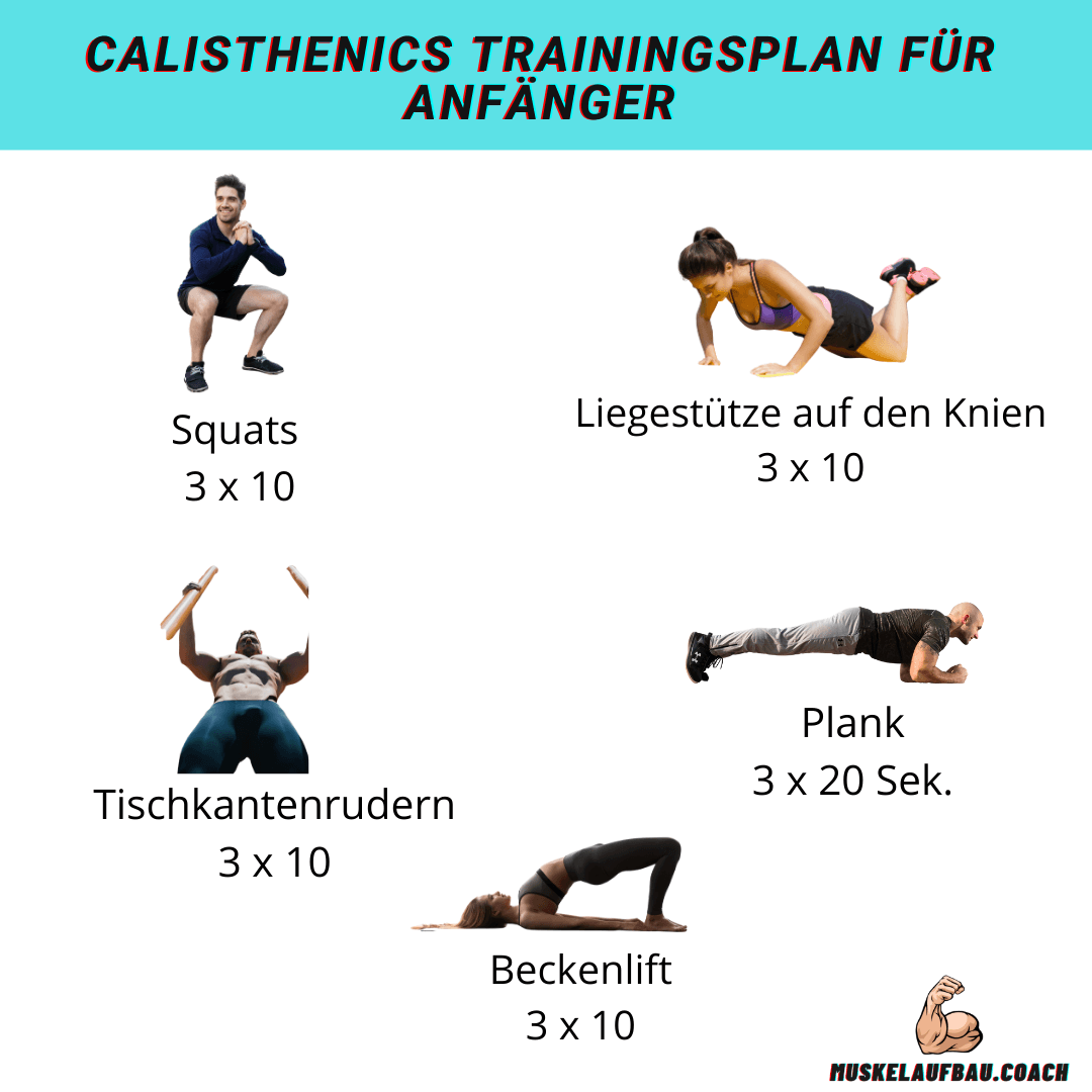 Calisthenics Trainingsplan für Anfänger