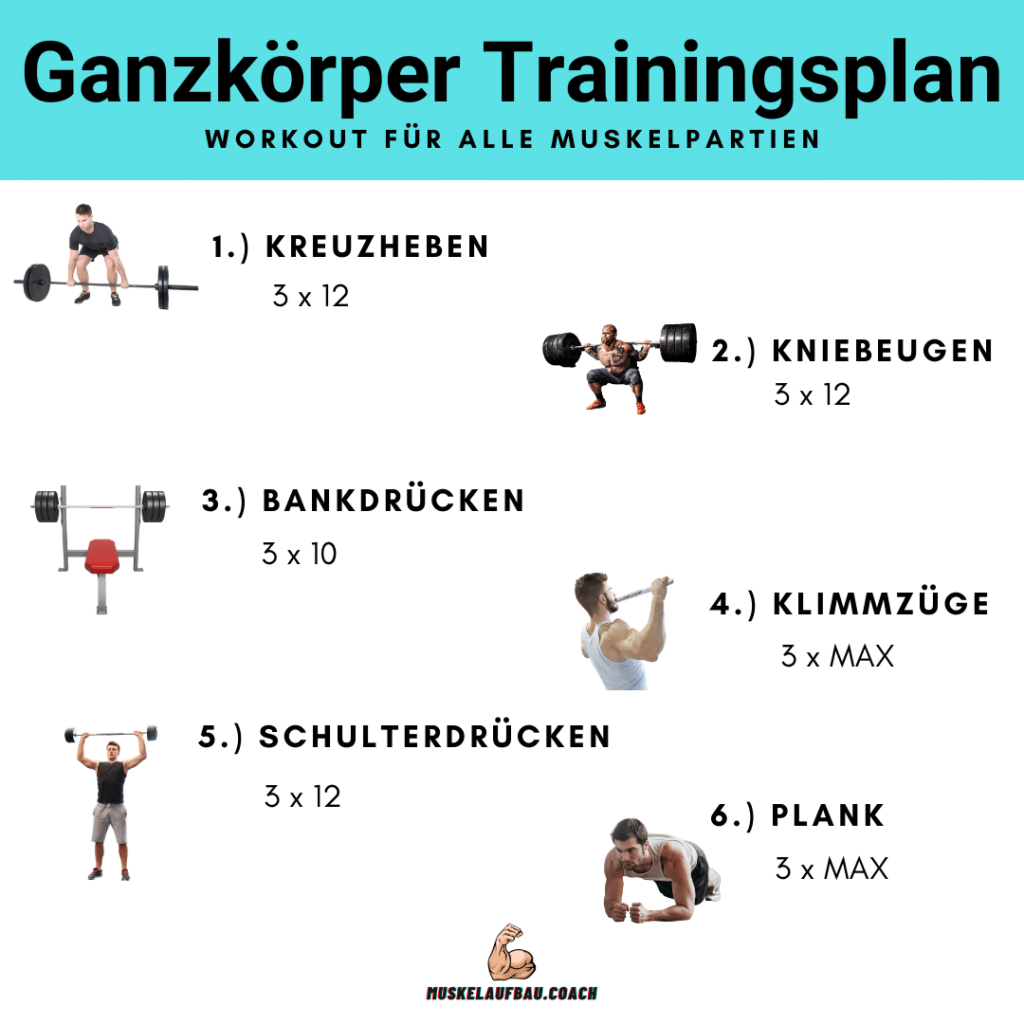 Ganzkörper Trainingsplan