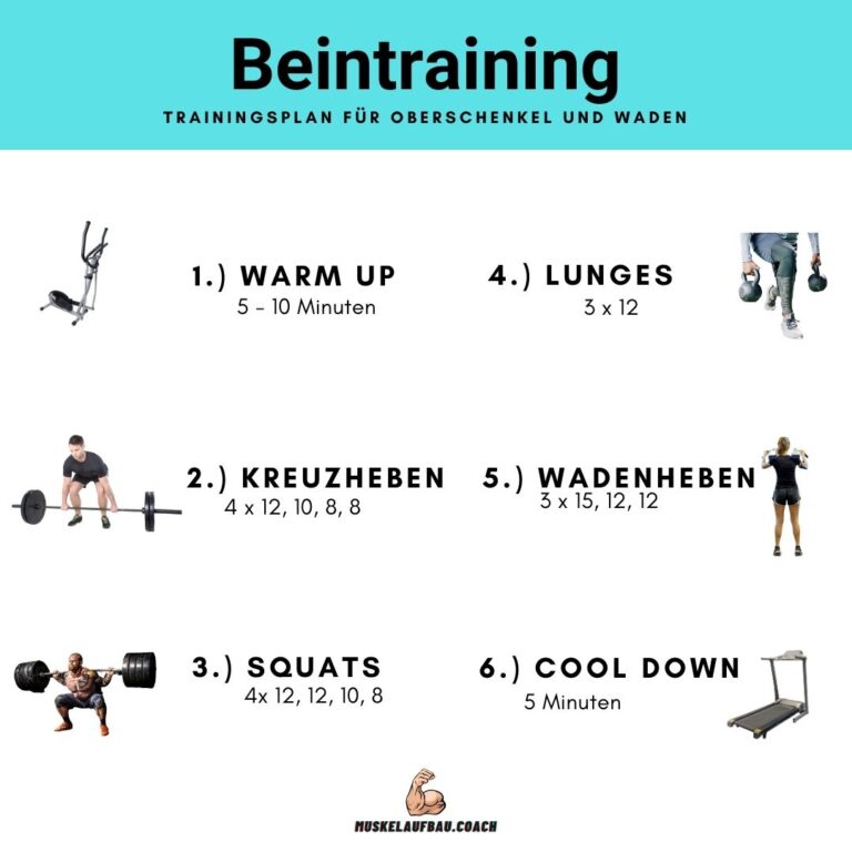 Trainingsplan für Muskelaufbau Muskelaufbau.Coach