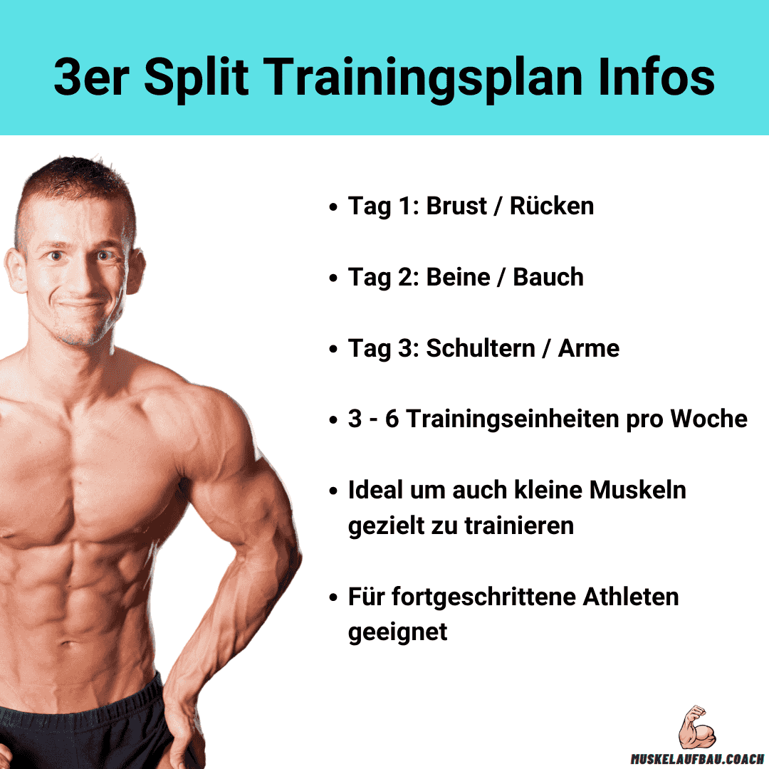 3er split trainingsplan 3er Split