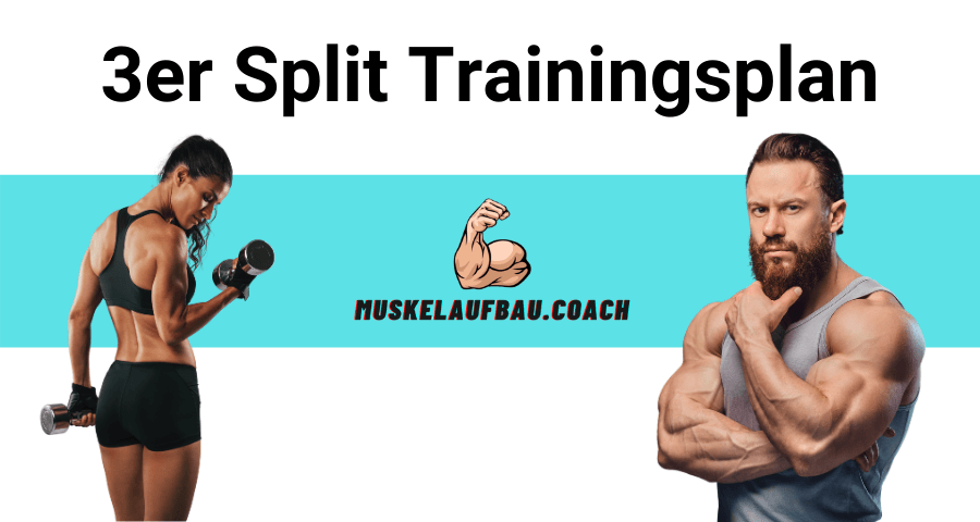 3er Split Trainingsplan für Muskelaufbau