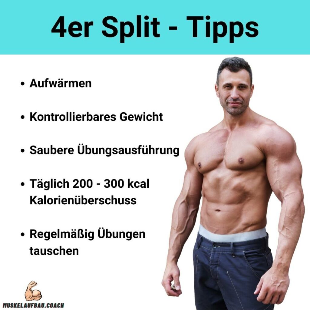 4er Split Trainingsplan Muskelaufbau.Coach