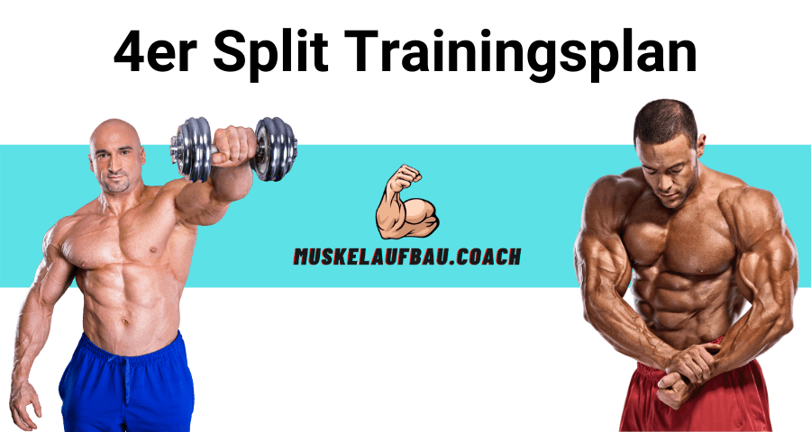 4er Split Trainingsplan für Muskelaufbau