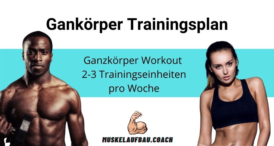 Ganzkörper Workout