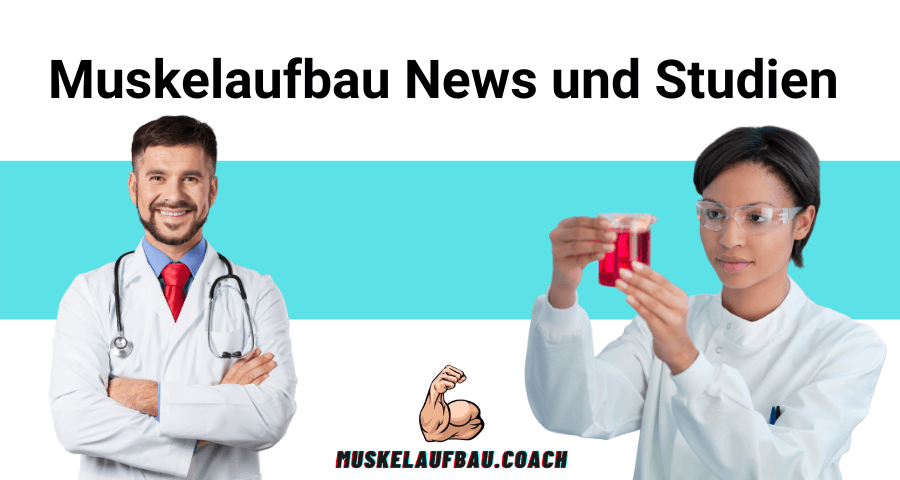 Muskelaufbau News und Studien