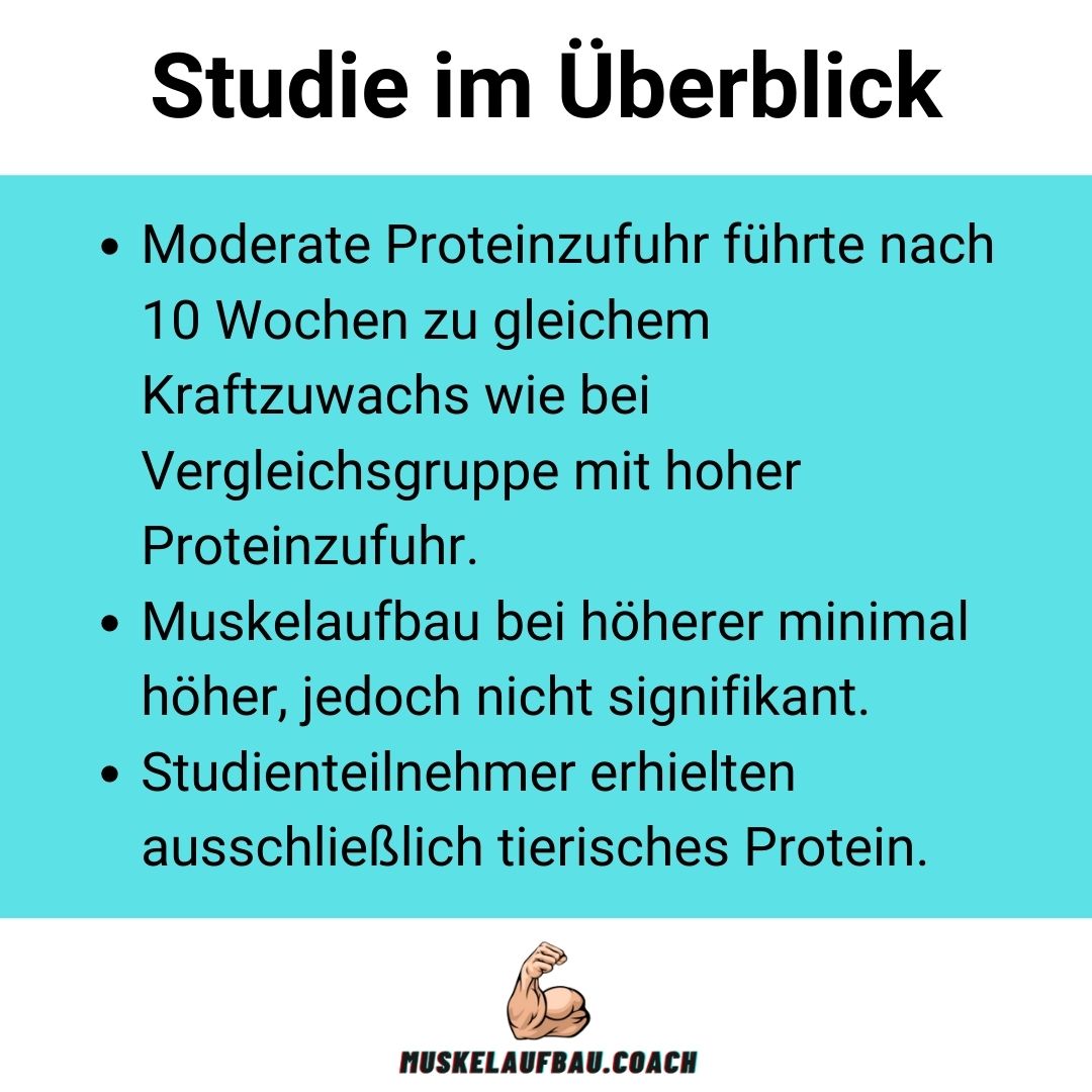 Studienergebnisse über die ideale Proteinzufuhr im Überblick.