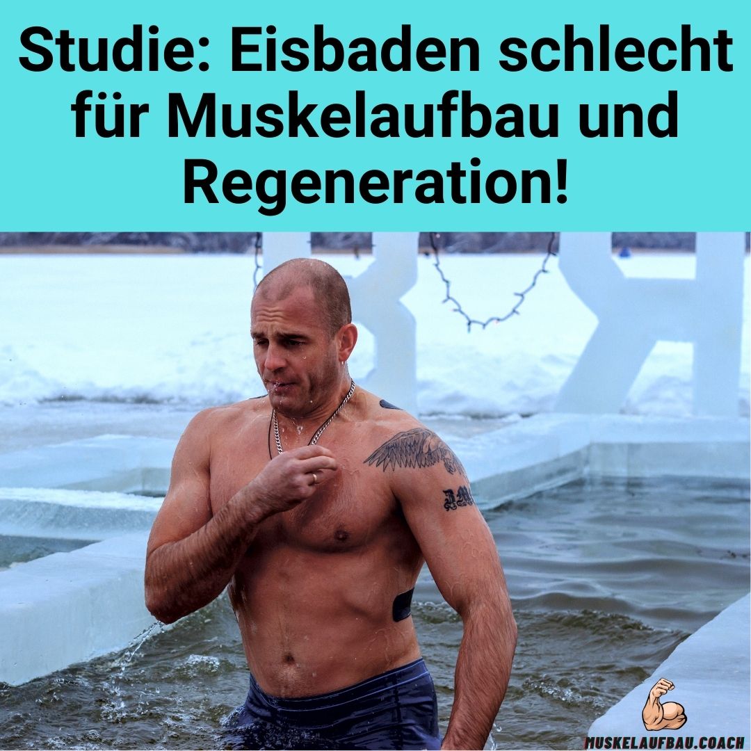 Studie Kryotherapie Muskelaufbau