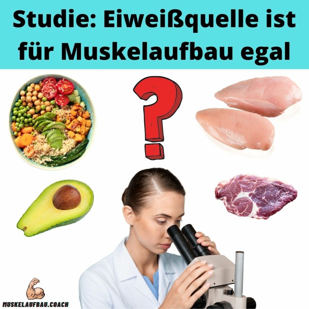 Vegan Muskelaufbau