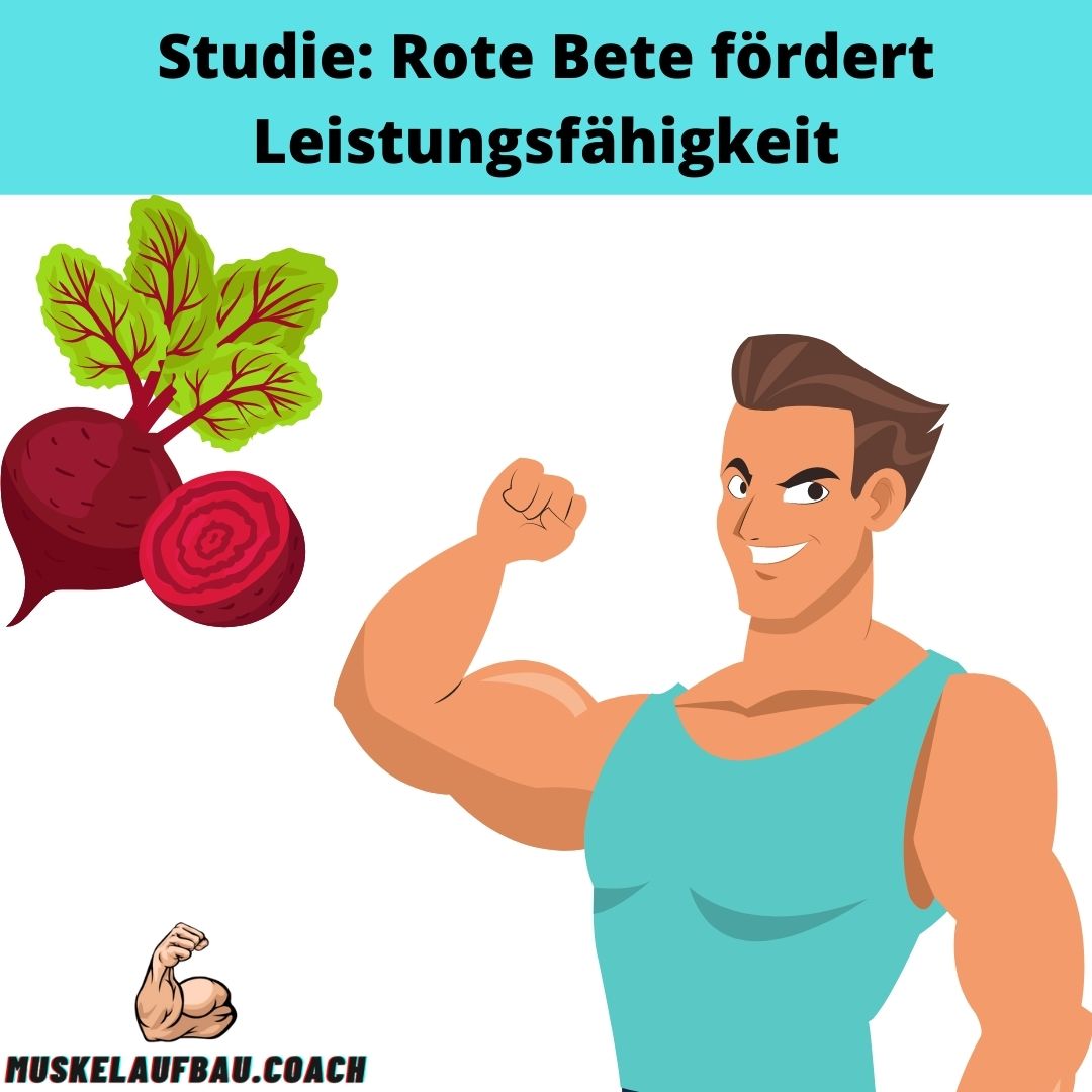 Rote Bete Studien