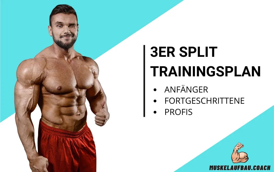3er Split Trainingsplan