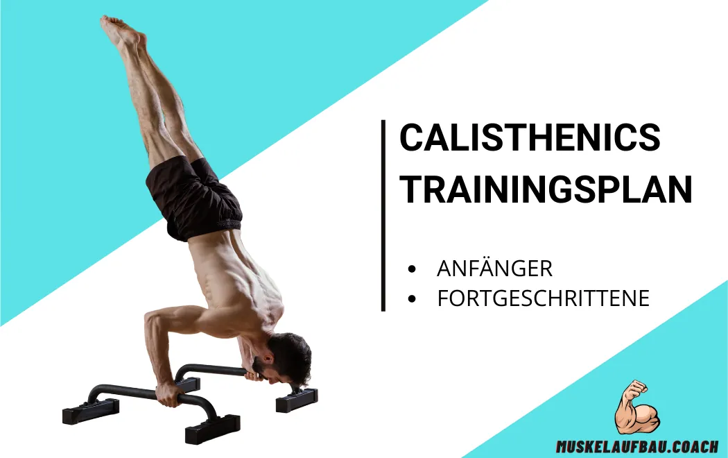 Calisthenics Trainingsplan