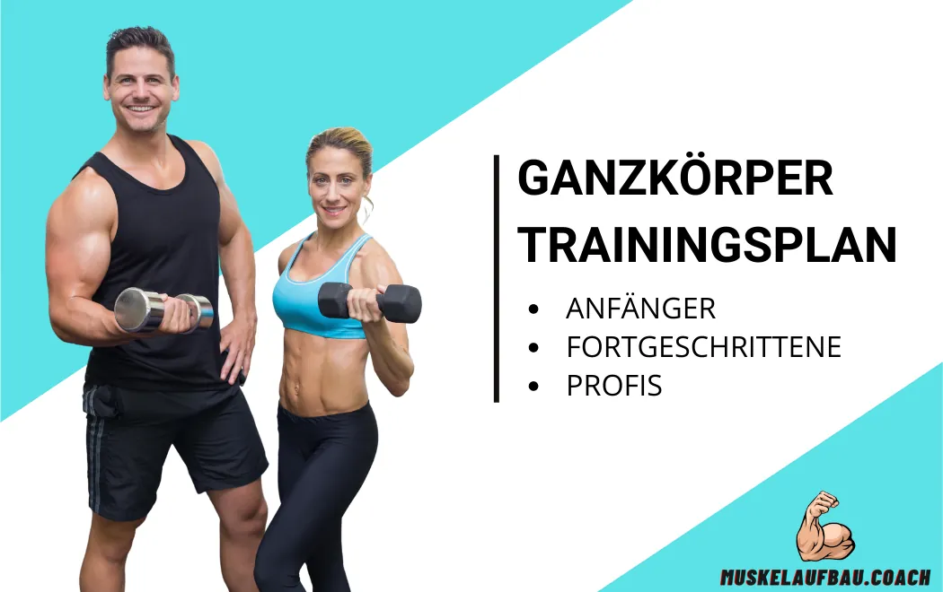 Ganzkörper Trainingsplan