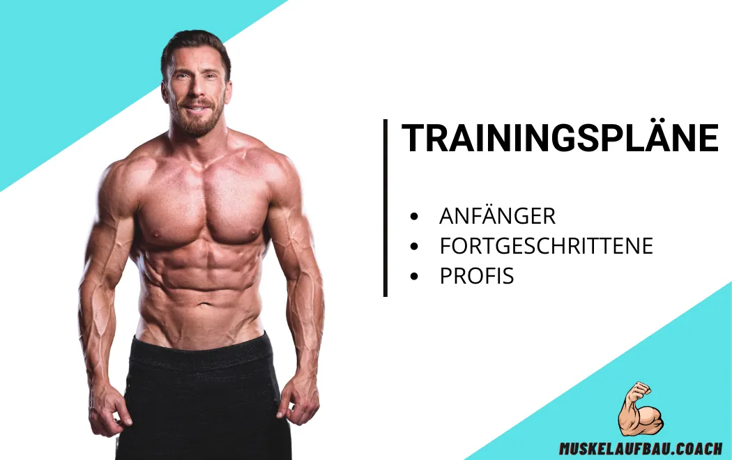 Trainingspläne für Muskelaufbau