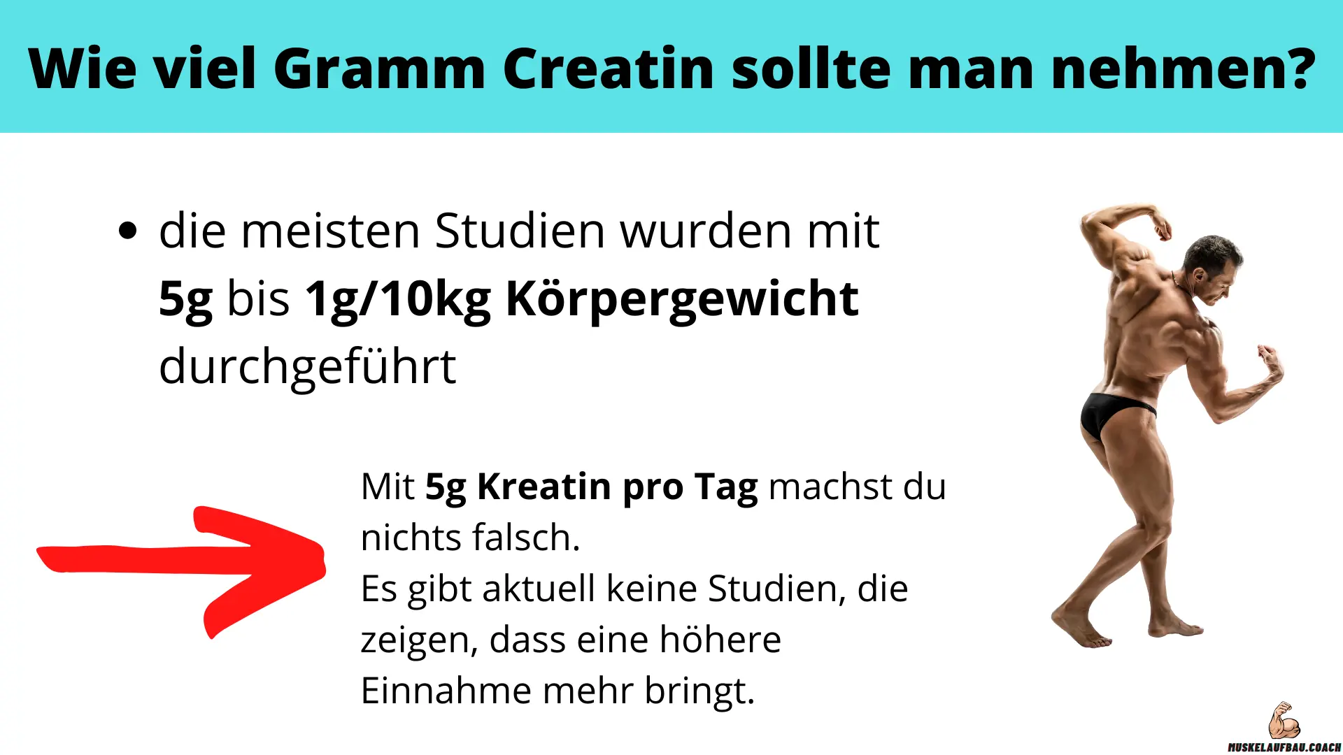 Creatin Dosierung