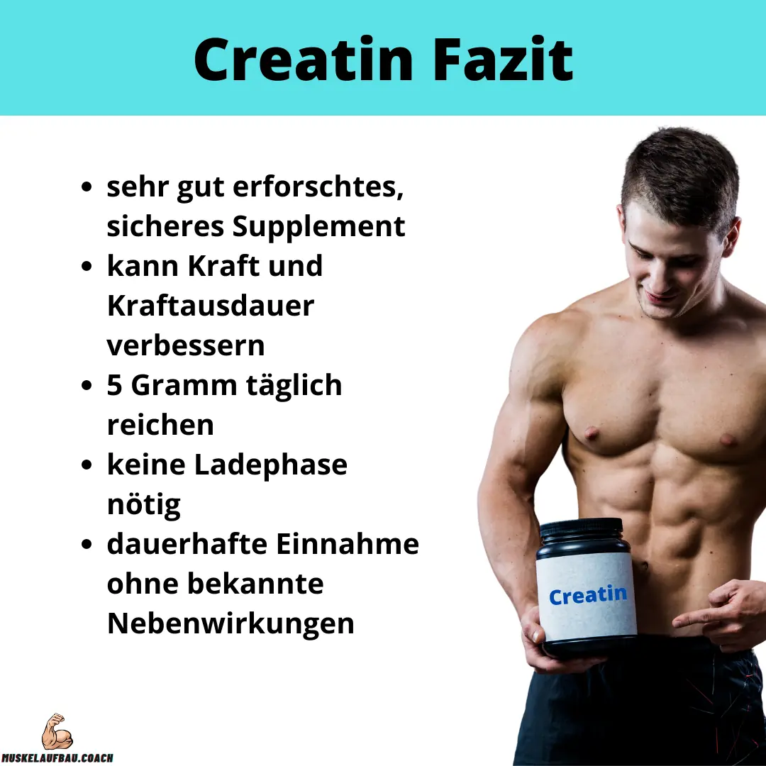 Creatin Fazit