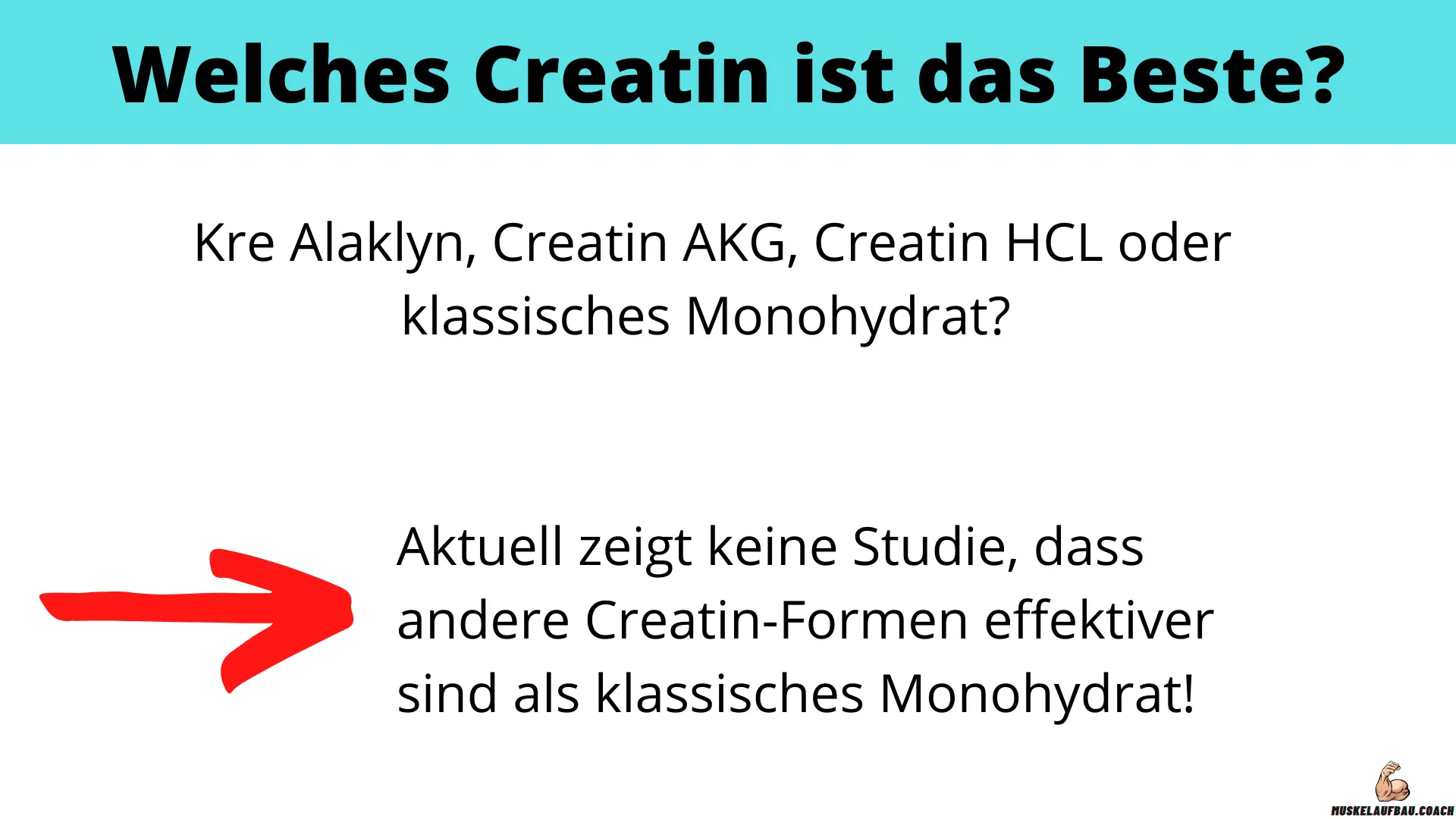 Welches Creatin ist das beste?