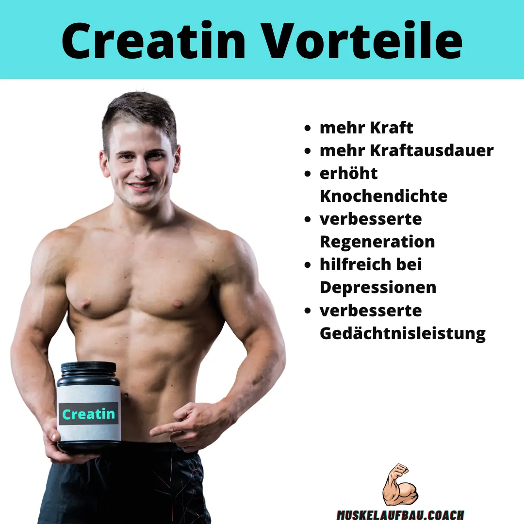 Creatin Vorteile