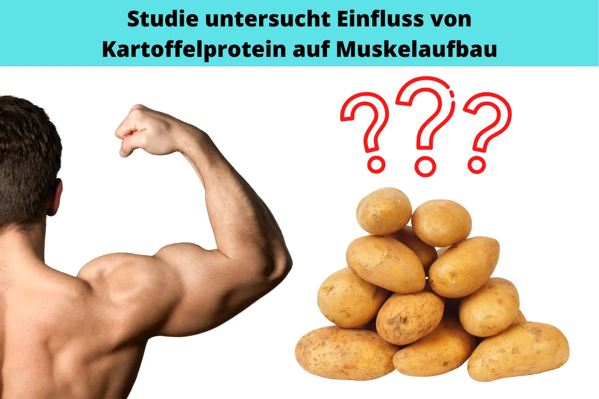 Kartoffelprotein-Isolat Studie