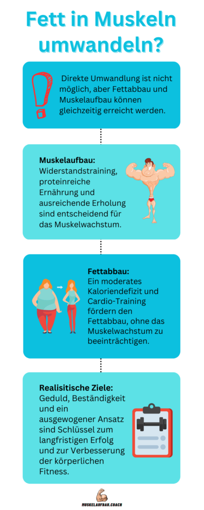Fett in Muskeln umwandeln? Infografik